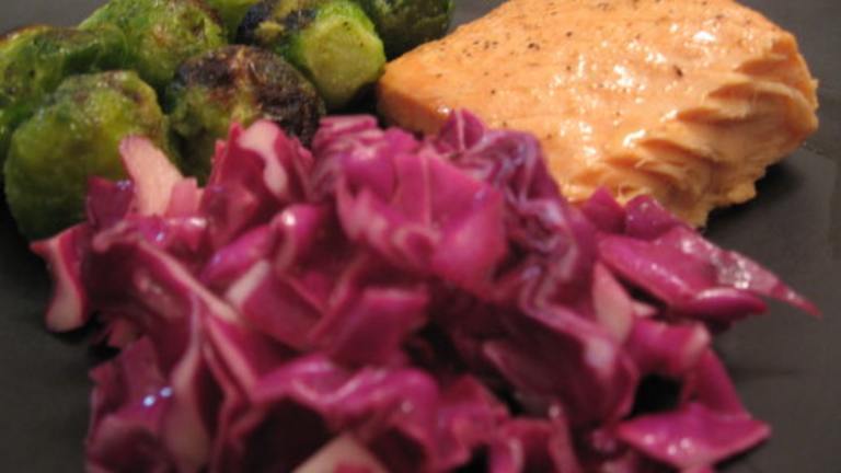Crisp Red Cabbage Salad Created by Engrossed