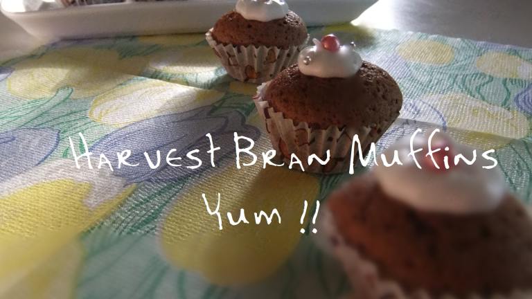 Harvest Bran Muffins Created by minmin-mika