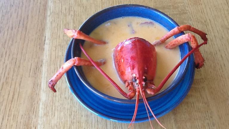 Maine Lobster Stew created by Donna D.