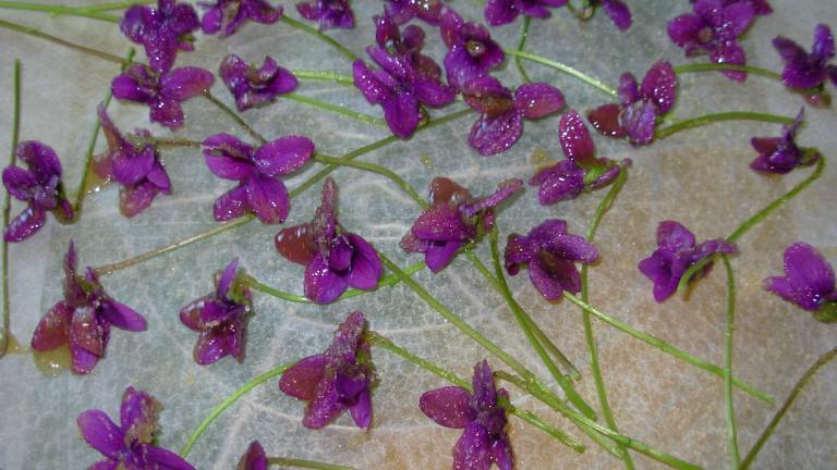 Homemade Crystallised Flowers - Violets Created by French Tart