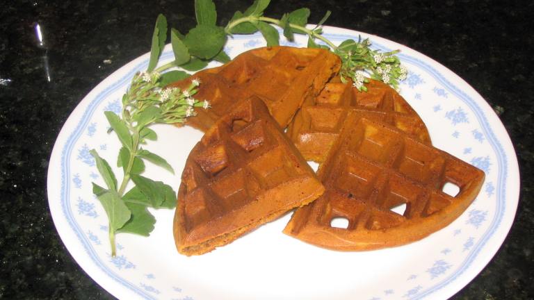 Gingerbread Waffles Created by Auntie Mags