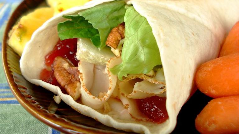 Cranberry-Nut Turkey Roll Ups created by Marg CaymanDesigns 