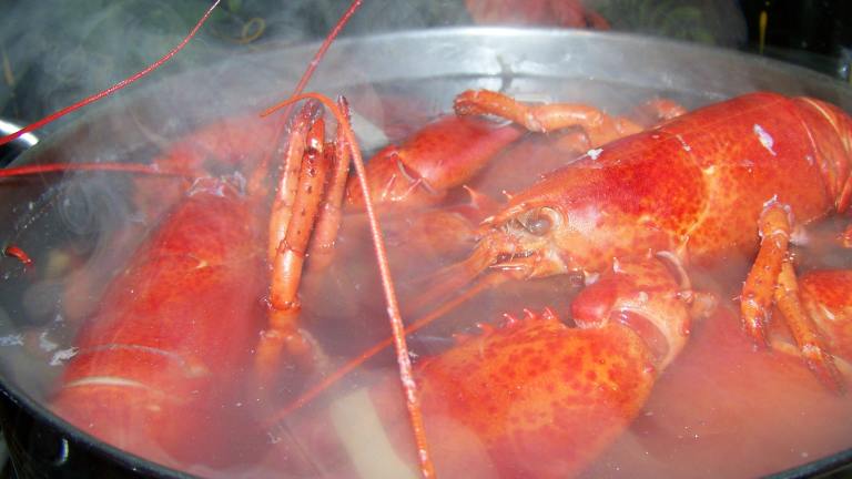 How to Boil a Lobster Created by Mimi in Maine