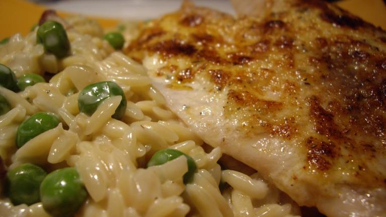 Italian Style Broiled Tilapia Created by Columbus Foodie