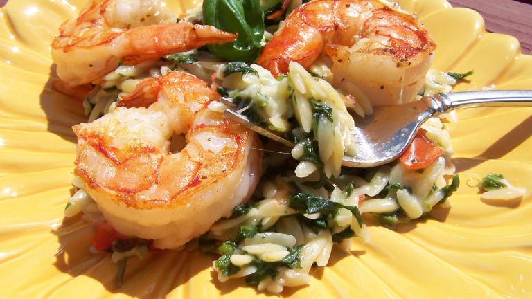 Creamy Orzo With Spinach and Shrimp Recipe - Food.com