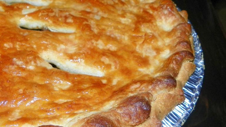 The Famous Aussie Meat Pie Created by Baby Kato