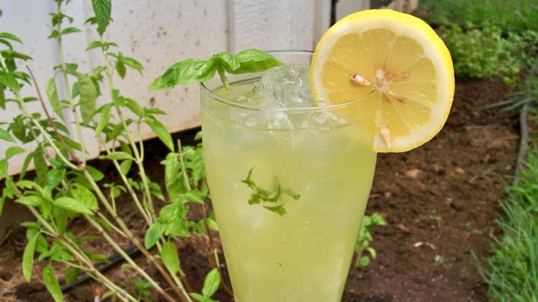 Basil Lemonade Created by Prose