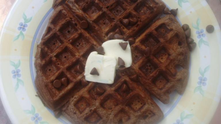 Good Eats Chocolate Chip Waffles (Alton Brown) Created by Bay Laurel