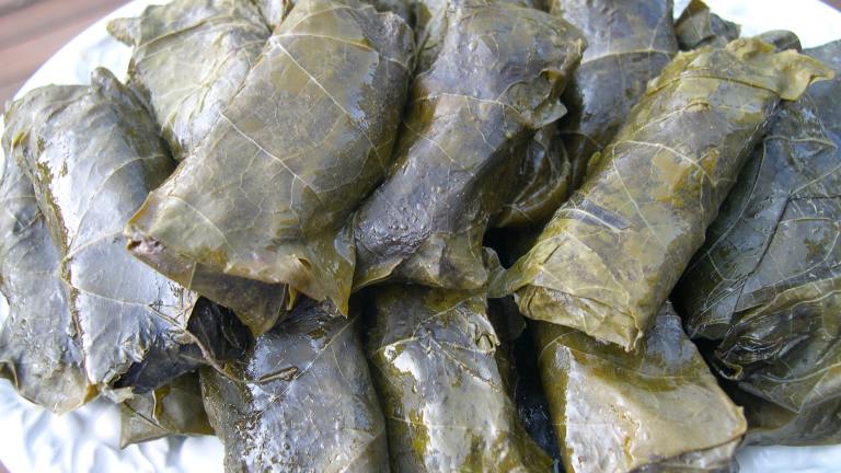Elaine's Dolmathes (Stuffed Grape Leaves) Created by luvinlif2k