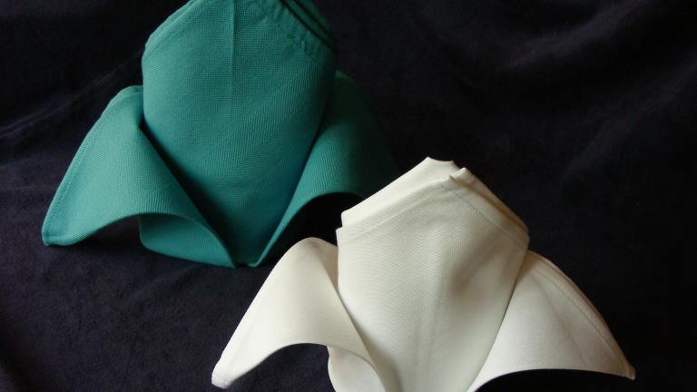 Serviette/Napkin Folding, the Fleur De Lis Created by kiwidutch