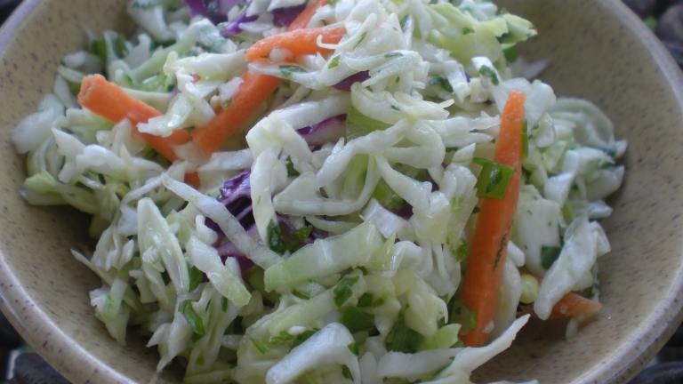 Lime Cilantro Coleslaw Created by Mamas Kitchen Hope