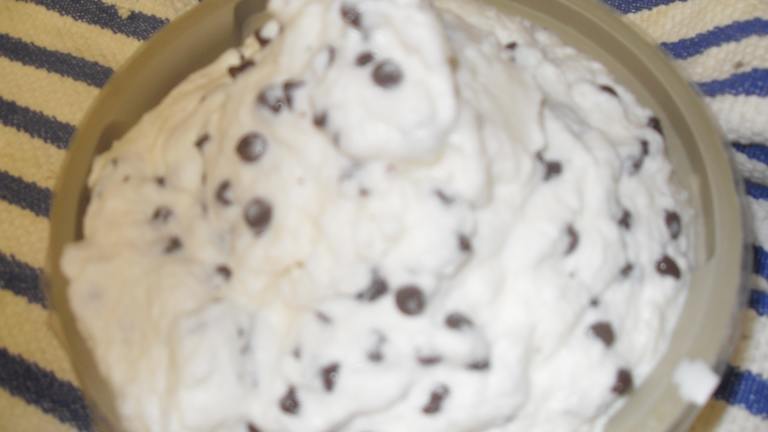 Easy Mint Chocolate Chip Ice Cream created by k2oneal