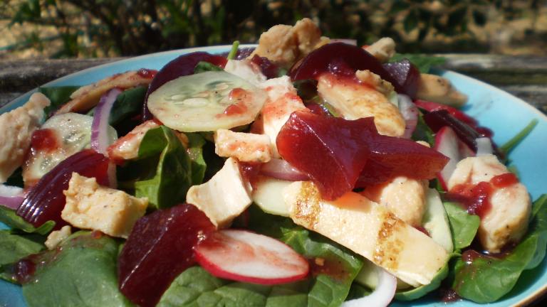 Cranberry-Turkey Spinach Salad created by breezermom