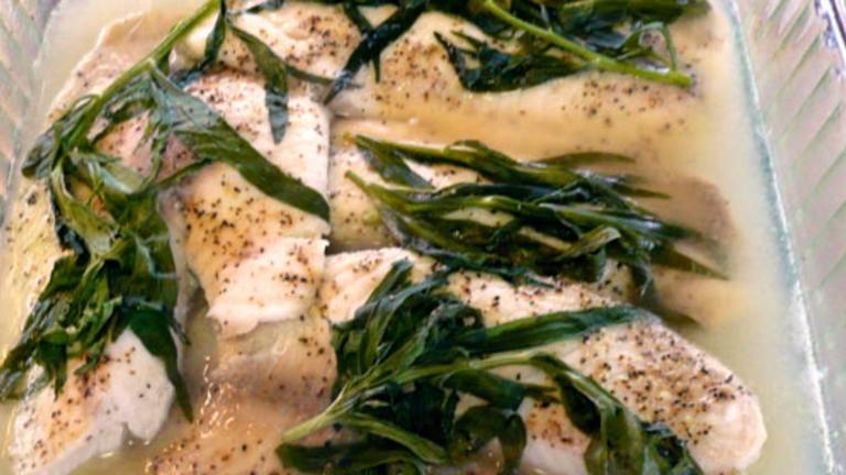Tarragon-Scented Fish Created by Outta Here