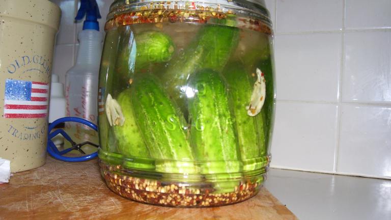 East Side New York Half-Sour Pickles Created by Amberngriffinco