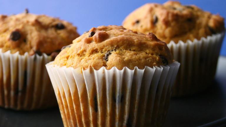 Chocolate Chip Pumpkin Muffins Created by Cookin-jo