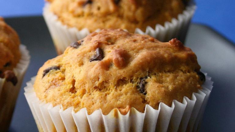 Chocolate Chip Pumpkin Muffins Created by Cookin-jo