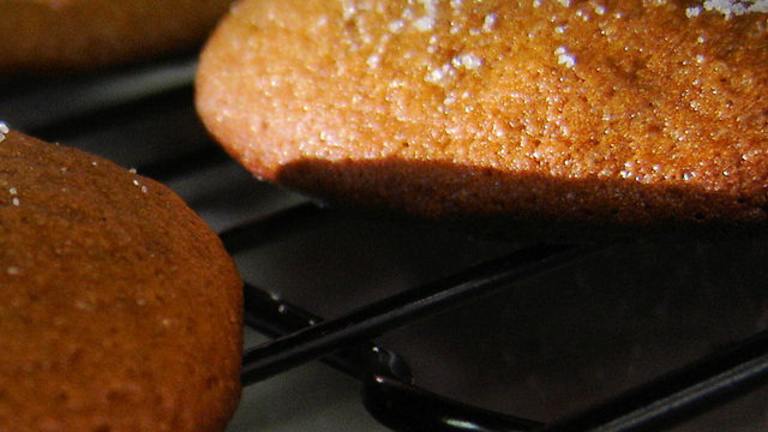 Holiday Molasses Cookies created by Saturn