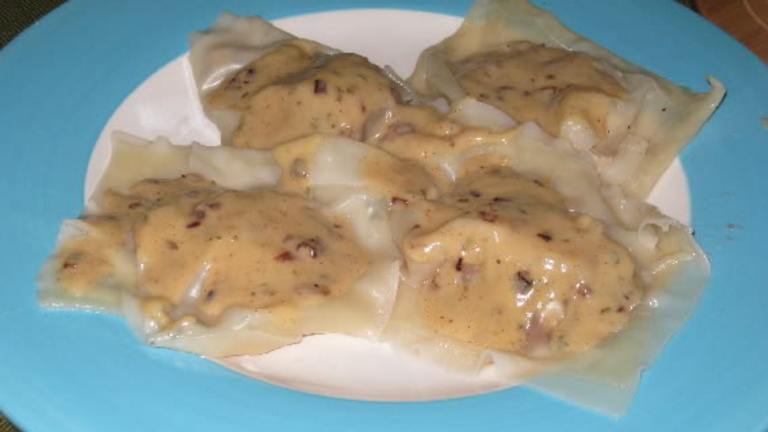 Turkey and Cranberry Ravioli created by danakscully64