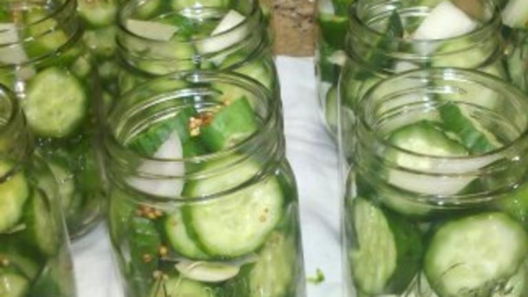 Small-Batch Refrigerator Dill Pickles created by notachefjustacook63