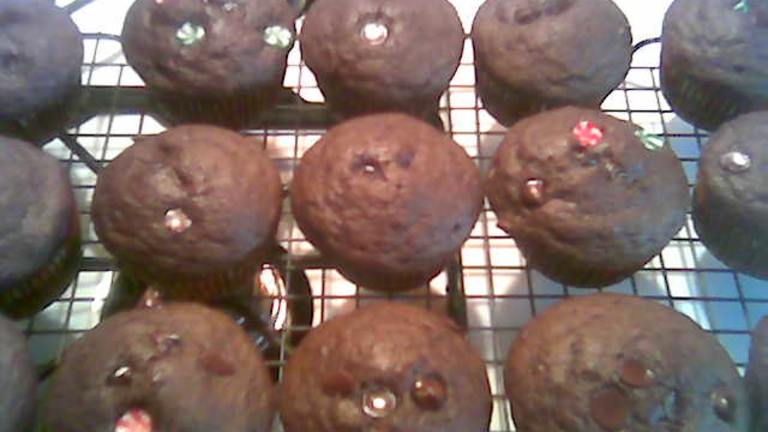 Chocolaty Chocolate Chip Whole Wheat Muffins created by Jasmine31