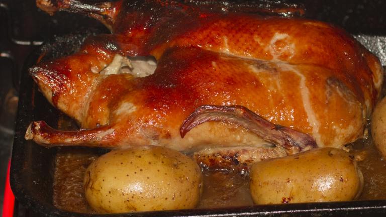 Roast Duck With a Honey Soy Basting Sauce Recipe - Food.com