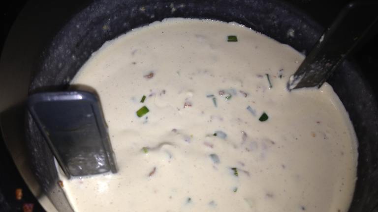 Bacon Beer Cheese Dip (Aka: Game Day Dip) Created by Laurita