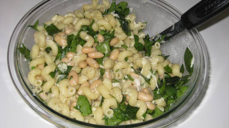 Cavatappi With Spinach, Beans, and Asiago Cheese Created by FrenchBunny