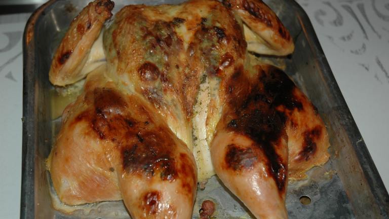 Brined Roasted Chicken - 500 Degrees created by Sweetiebarbara