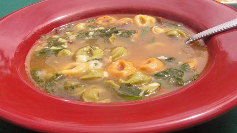 Spinach-Tomato Tortellini Soup created by lazyme