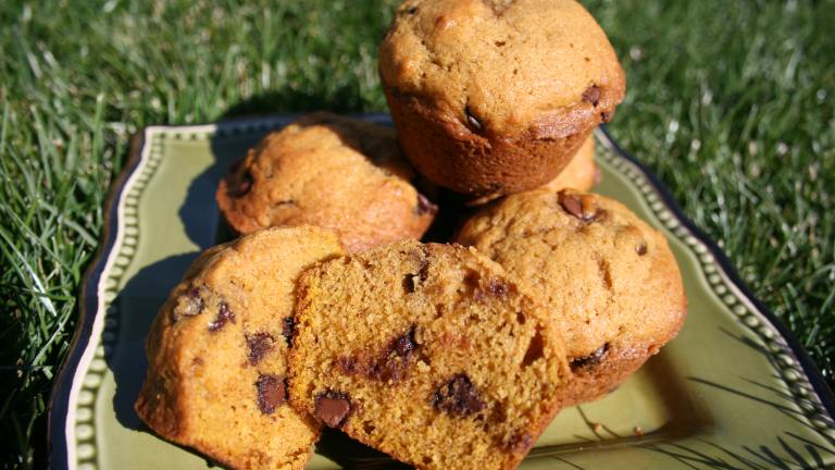 Addicting Pumpkin Chocolate Chip Muffins Created by Tinkerbell