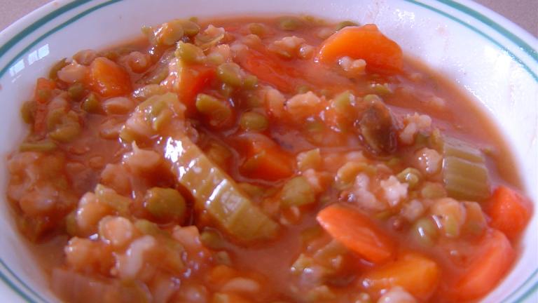 Easy Split Pea and Barley Stew Created by mliss29