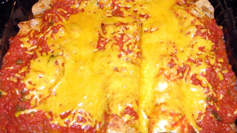 Turkey Enchiladas created by mary winecoff