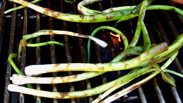 Grilled Scallions Created by Rita1652