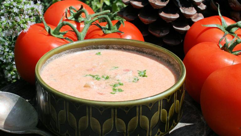 Tomato/Dill Cream Cheese Soup created by French Tart