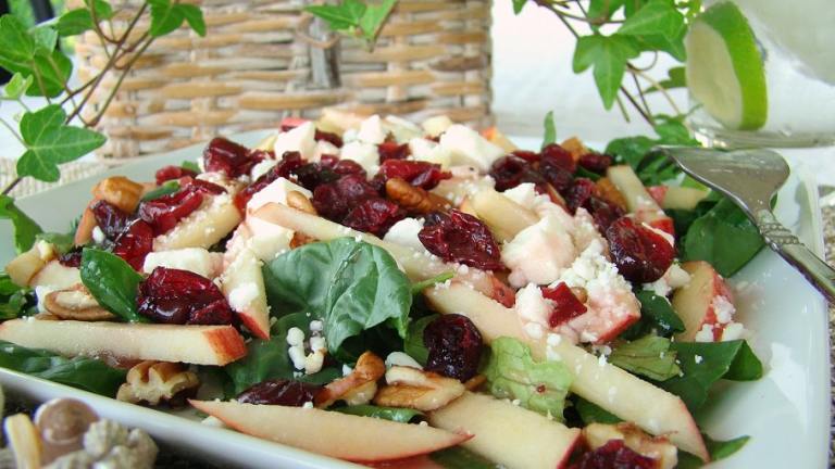 Cranberry Apple-Spinach Salad Created by Marg (CaymanDesigns)