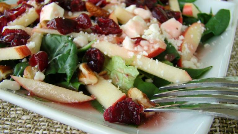 Cranberry Apple-Spinach Salad Created by Marg (CaymanDesigns)