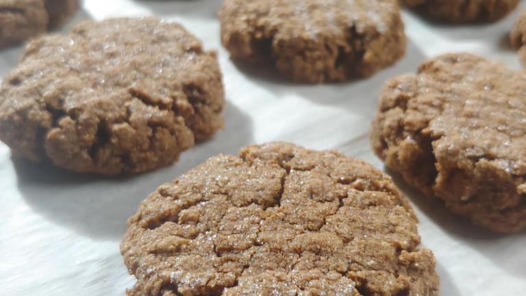 Fat Free Gingerbread Cookies created by Harriet S.