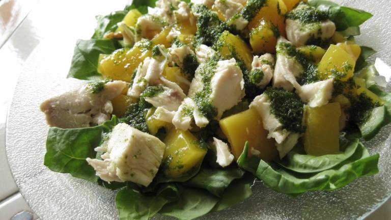 Chicken Salad With Nectarines in Mint Vinaigrette Created by WiGal