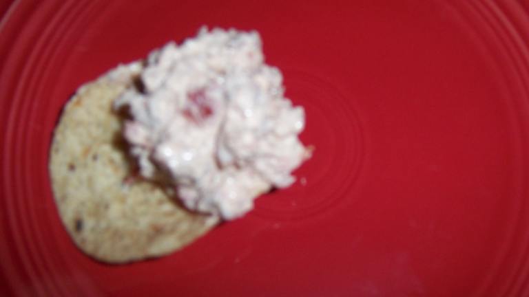 Hot Ranch Sausage Dip created by PrimQuilter