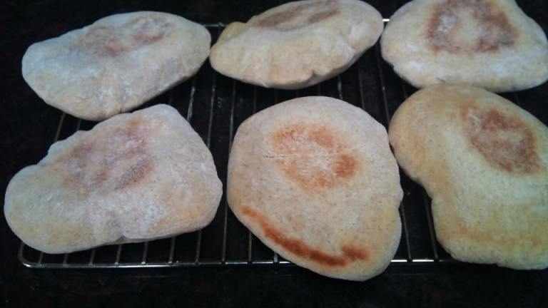 Whole Wheat Pita for Bread Maker Created by Diane J Ontario