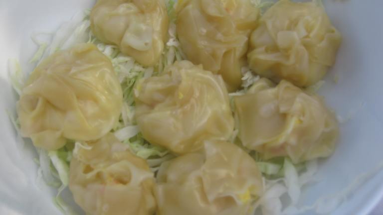 Easy Steamed Shrimp Dumplings Recipe Food Com