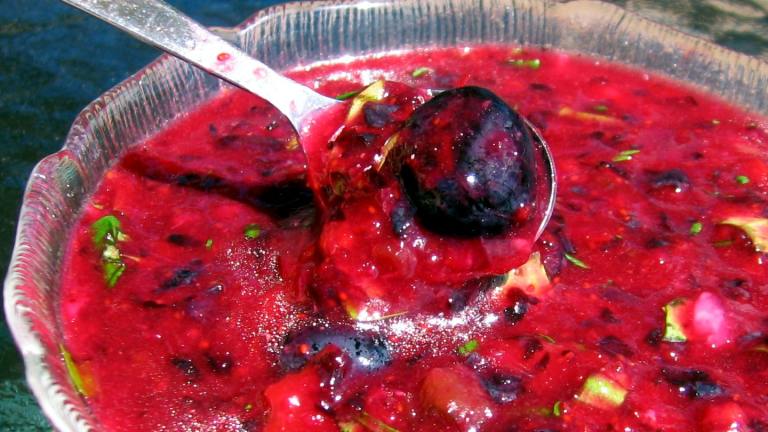 Blueberry Lime Salsa Created by Dreamer in Ontario