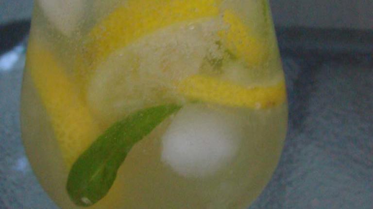 Lemon Verbena Mojito Created by Boomette
