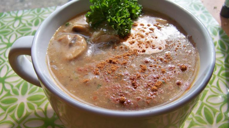 Creamy Spiced Mushroom Soup (Low Fat and Vegan) Recipe - Food.com