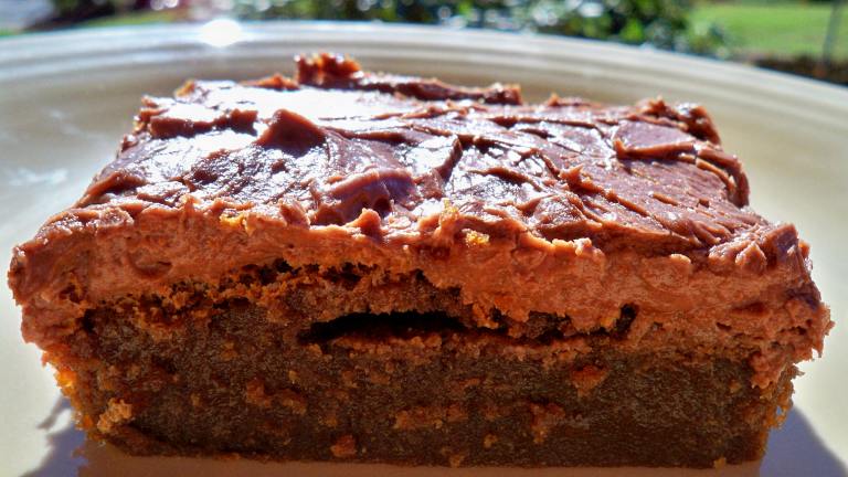 Seriously Sinful Chocolate Fudge Brownies created by CookingONTheSide