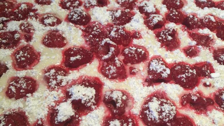 Fresh Raspberry Cheesecake Bars Created by samanthaannsteger1
