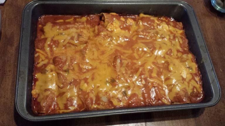 Cheesy Sour Cream Chicken Enchiladas created by adoptbc_11750056