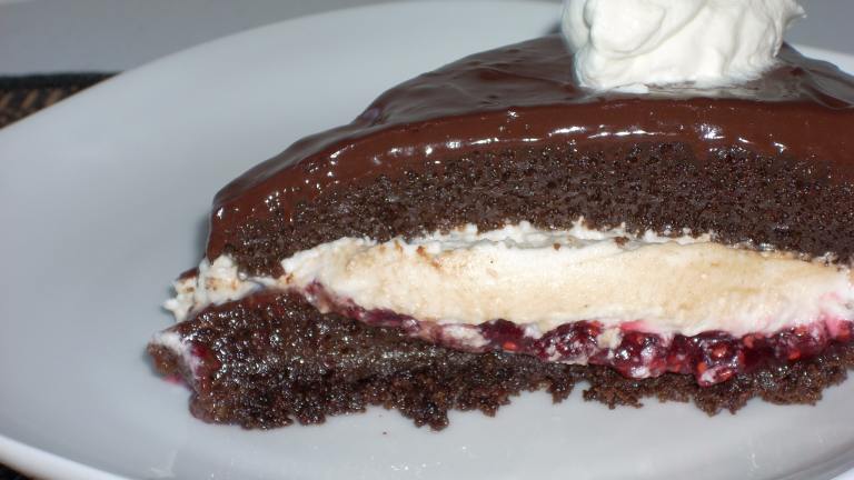 Fudgy Chocolate Layer Cake With Raspberry Chambord Whipped Cream Created by Ravenseyes