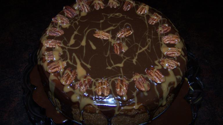 Turtle Cheesecake Created by BrigitAnn